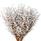 12-Pack: Vibrant Silver Holly Berry Stem Picks with 35 Berries by Floral Home&#xAE;